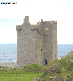 gleninagh castle
