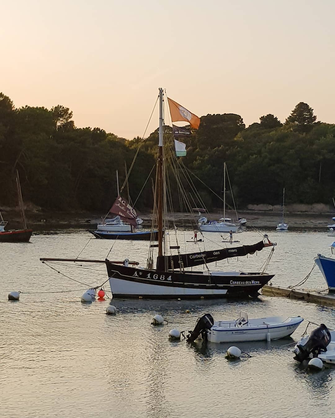 Sn corbeau des mers