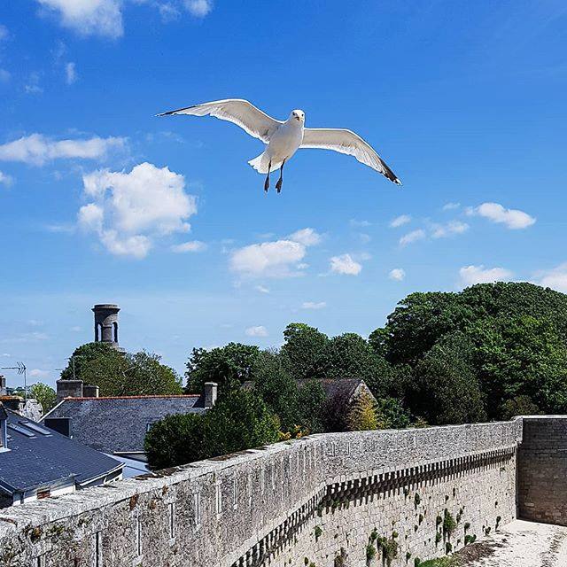 gorelan concarneau