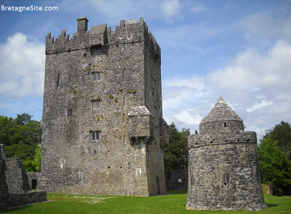 Aughnanure Castle bretagnesite