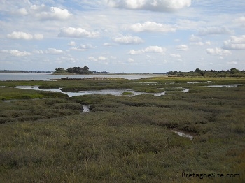 ancienne saline arz bretagnesite