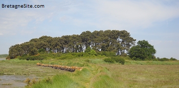 ile du chateau ou inizen noyalo bretagnesite