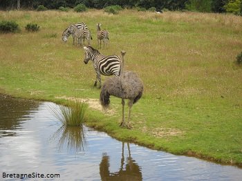 parc branfere bretagnesite