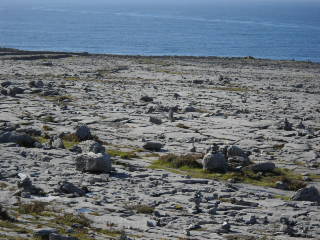 theburren
